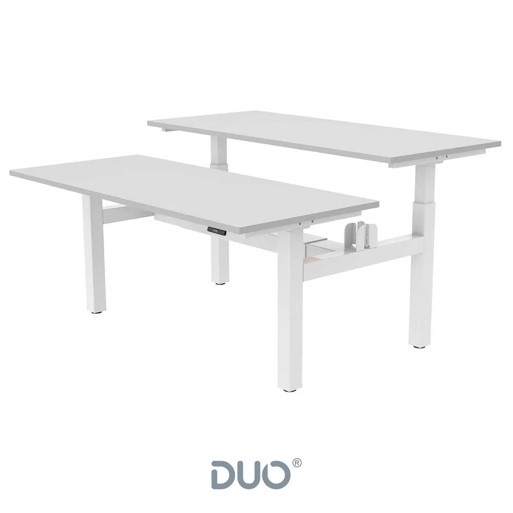 Yo-Yo DESK DUO Back-2-Back Height Adjustable Standing Desk