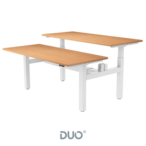 Yo-Yo DESK DUO Back-2-Back Height Adjustable Standing Desk