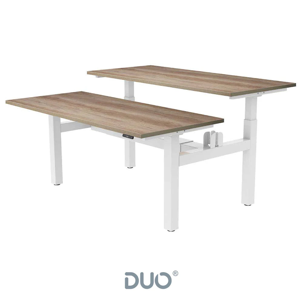 Yo-Yo DESK DUO Back-2-Back Height Adjustable Standing Desk